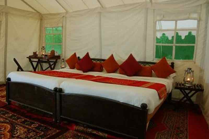 Ranthambore Forest Resort room