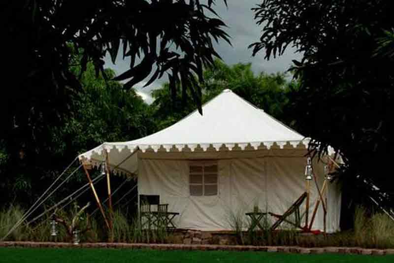 Ranthambore Forest Resort tents