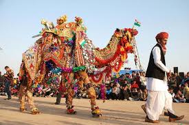 Camel Safari Tour