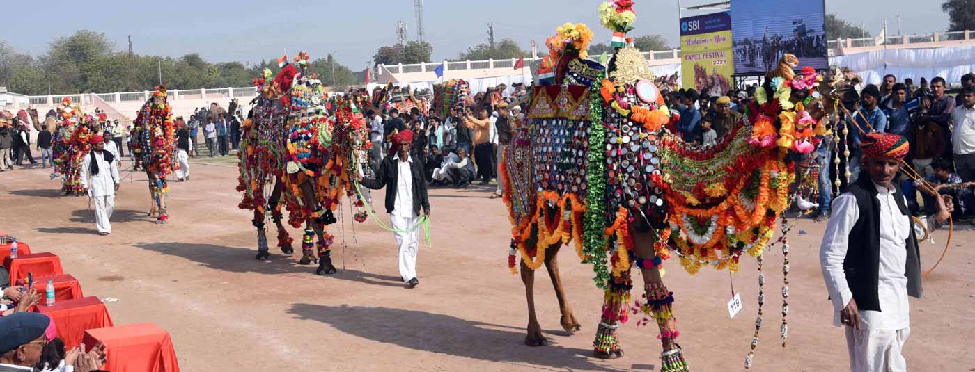 Rajasthan Fair Festivals Packages