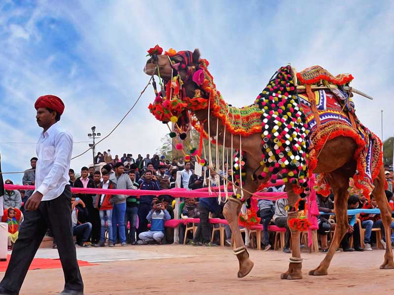 Rajasthan Fair Festivals Tours