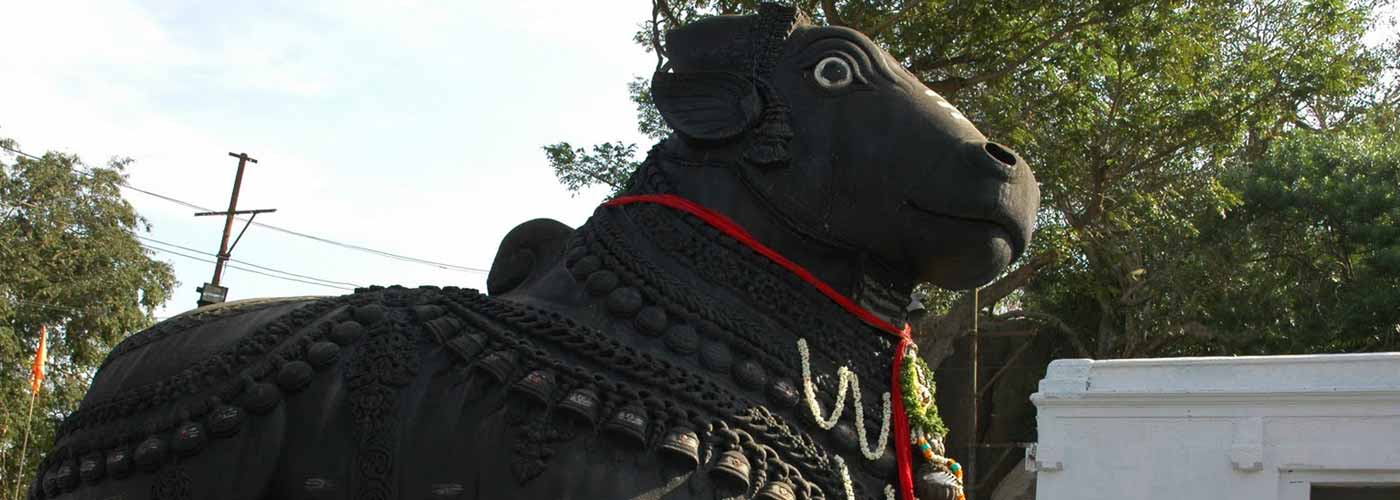 Vishvanath and Nandi Temple Timings, Entry Fees, Location, Facts, History, Architecture & Visiting Time