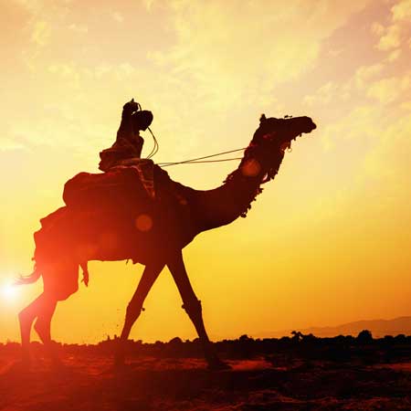 Jaisalmer Private Day Tours