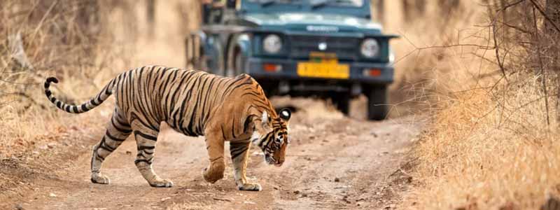 10 Places To Visit In Ranthambore