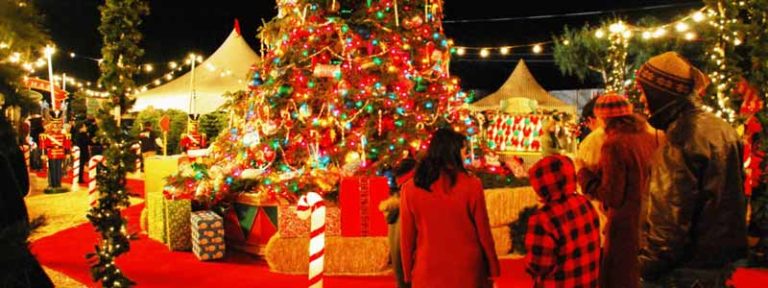 10 Places To Celebrate Christmas in India | Christmas in India 2021