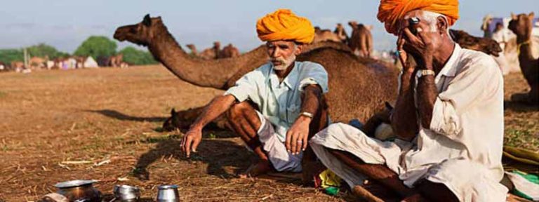 A Complete Guide On Pushkar Camel Fair 2023 | Pushkar Camel Fair Guide 2023