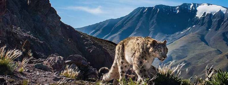 Hemis National Park - Complete travel guide