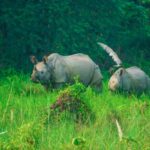 Chitwan National Park