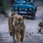 Places to Visit Nearby Ranthambore