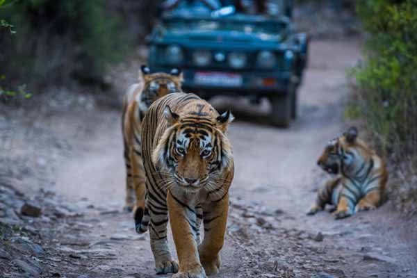 Places to Visit Nearby Ranthambore