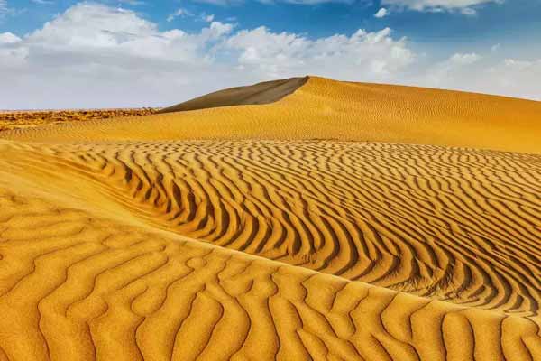 Sam Sand Dunes In Jaisalmer