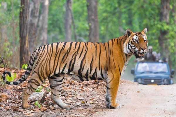 Why is Ranthambore famous