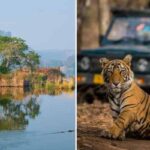 What To Do In Ranthambore