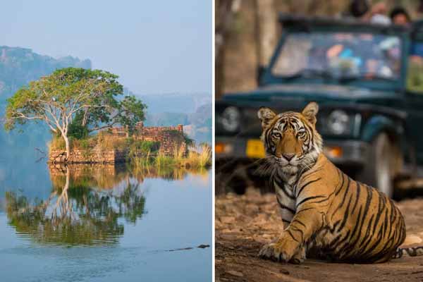 What To Do In Ranthambore