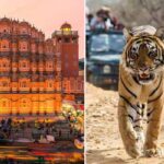 Jaipur to Ranthambore