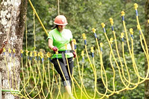 Activities in Munnar