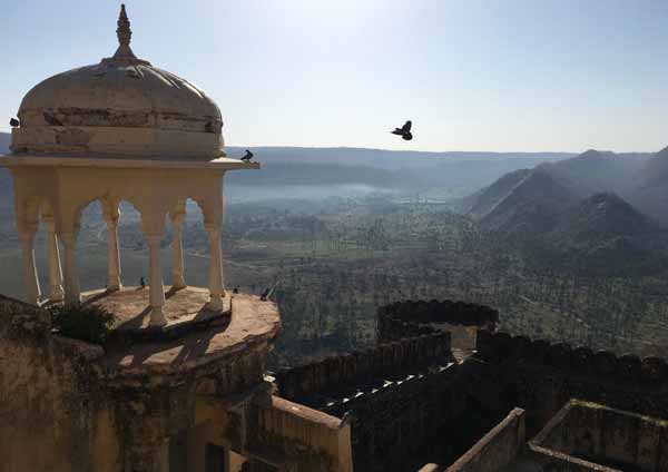 Best Time to Visit Sariska