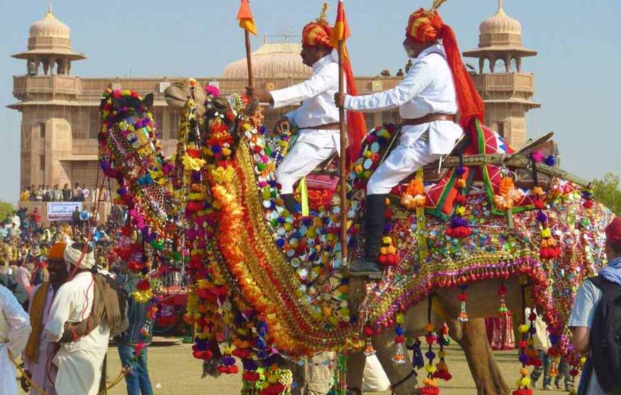 Camel Festival Bikaner