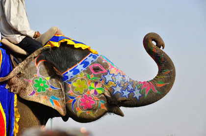 Elephant Festival jaipur