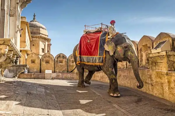 Elephant ride at Amber Fort, Jaipur