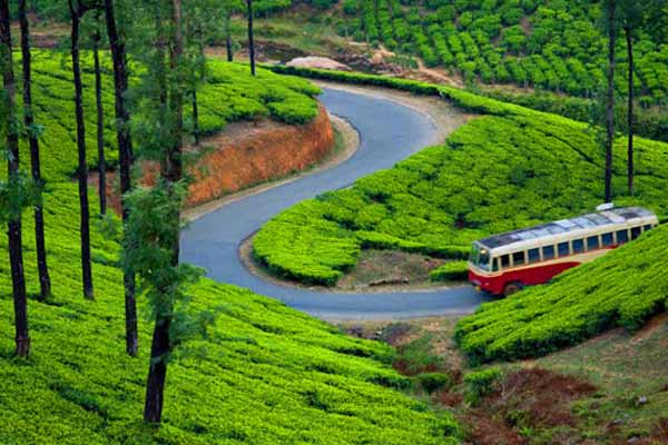 How to Reach Munnar