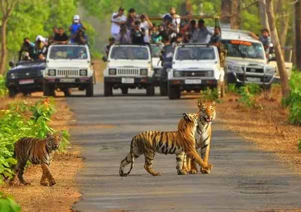 How To Reach Sariska