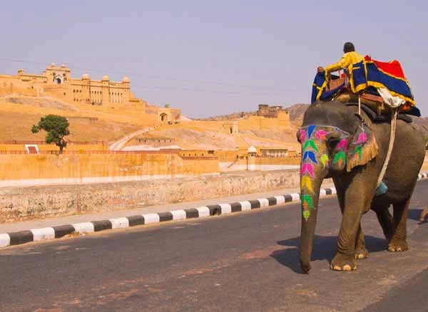 Viajes Baratos a Rajasthan