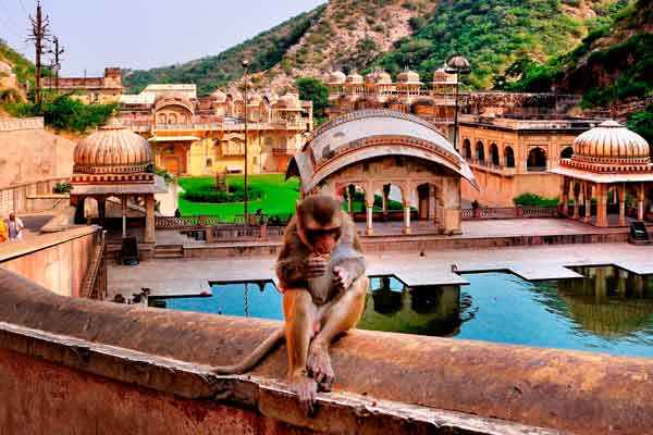 Rajasthan Jaipur Jodhpur Udaipur 5 Days Package