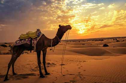 Rajasthan Vacations Tour Package