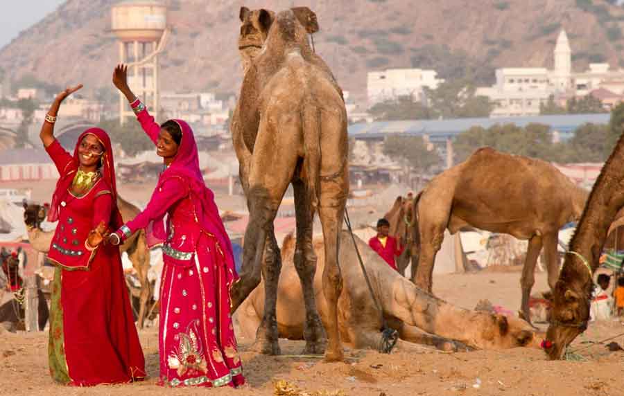 Pushkar Full Day city tour with Camel Safari