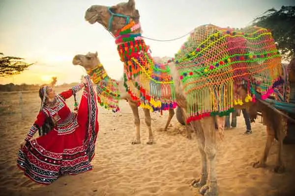Rajasthan Tour in January