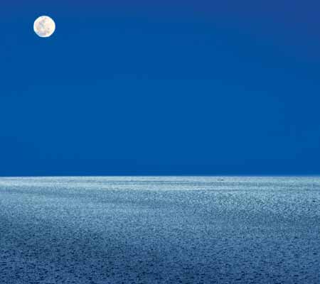 Rann of Kutch on a Full Moon Night