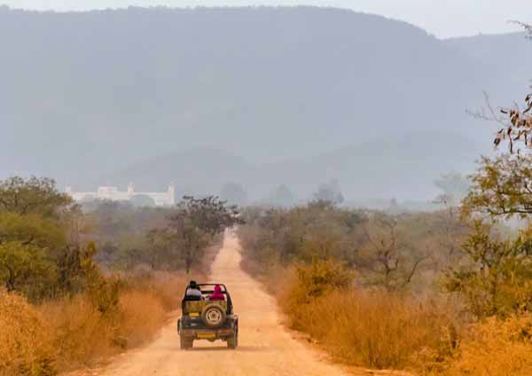 Things To Do in Sariska