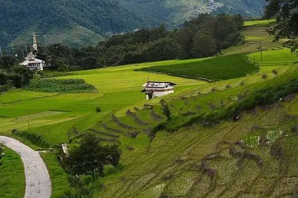 Ziro Valley