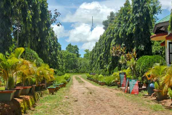 Baramura eco park