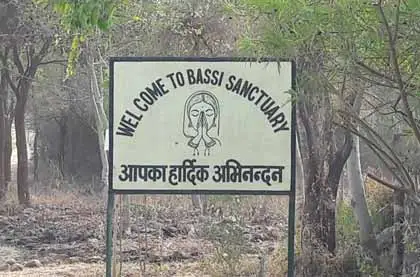 Bassi Wildlife Sanctuary, Chittorgarh