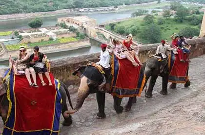 Elephant Safari Jaipur