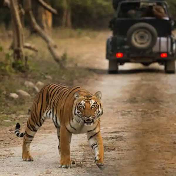 Jim Corbett How to Reach 