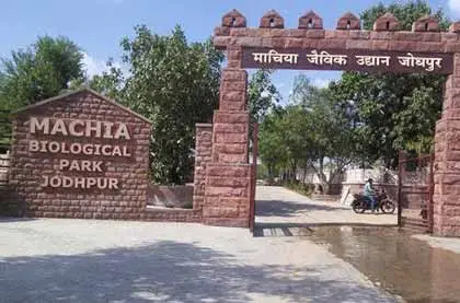 Machiya Biological Park, Jodhpur