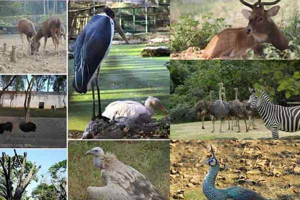 Manipur Zoological Garden