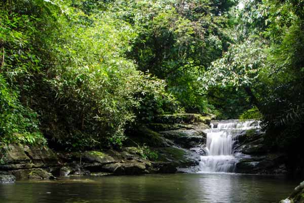 Mawlynnong waterfall