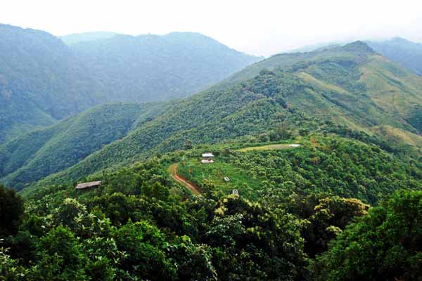 Nokrek National Park